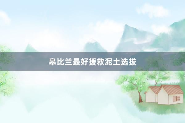 皋比兰最好援救泥土选拔